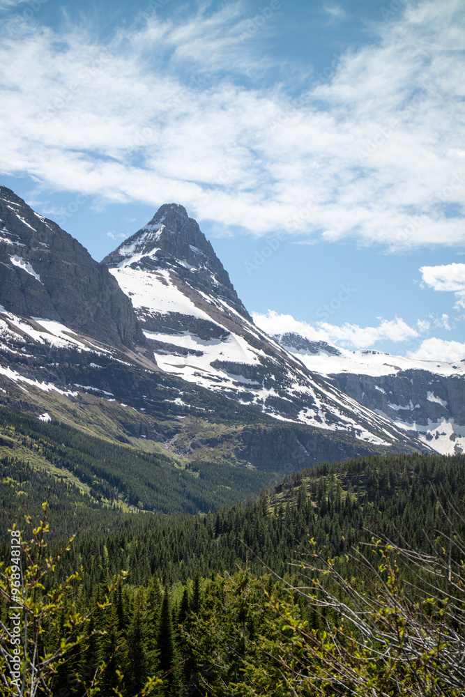Grinnell Lake trail path way surround by the mountain and wild flower. Glacier national park, Montana, USA. 