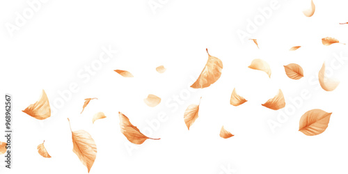 Leaf petals fluttering in the air on a white background.