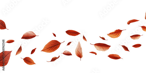Leaf petals fluttering in the air on a white background.