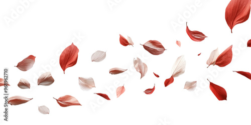 Leaf petals fluttering in the air on a white background.
