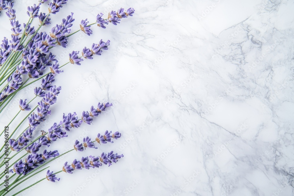 Fototapeta premium With a copy space on a marble background, lavender is blooming
