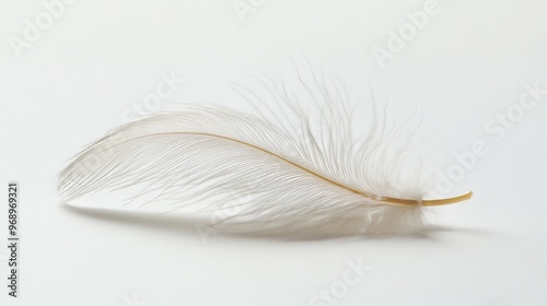 A single white feather on a white background.