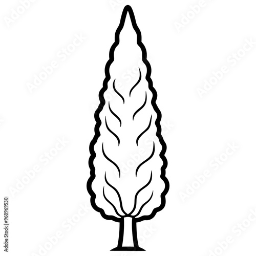 cypress tree outline coloring book page line art drawing