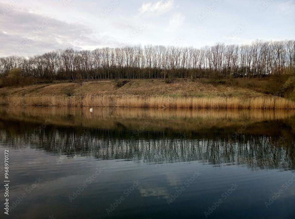 lake of trees lake of trees