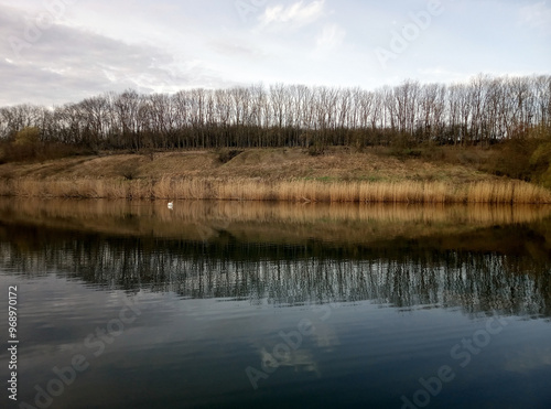 lake of trees
