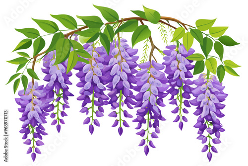 wisteria flowers black, silhouette vector illustration on white background. hyper-realistic, highly detailed, ultra detailed.