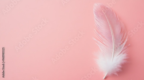 A single white feather on a pink background.