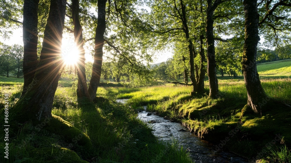 Spring forest with bright sun shining through the trees Spring forest with bright sun shining through the trees