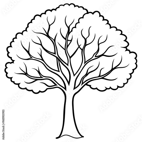 elm tree outline coloring book page line art drawing