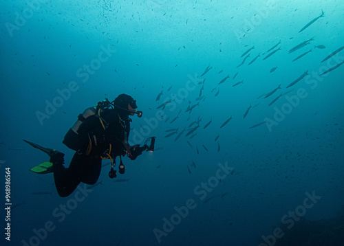 Wallpaper Mural Fotografo submarino viendo un banco de barracudas Torontodigital.ca