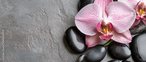 Spa stones and wet orchid flower on white marble background. Wellness beauty treatment. Banner copy space.