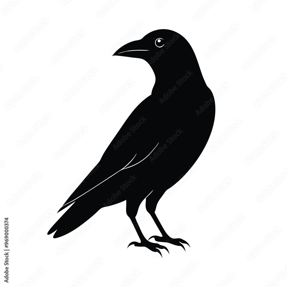 a flat crow silhouette vector art illustration, isolated white background, a flat crow silhouette vector art illustration, isolated white background,