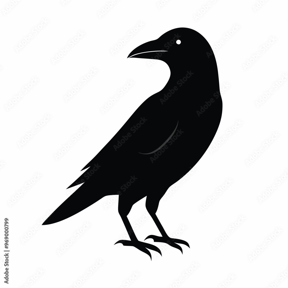 Fototapeta premium a flat crow silhouette vector art illustration, isolated white background,