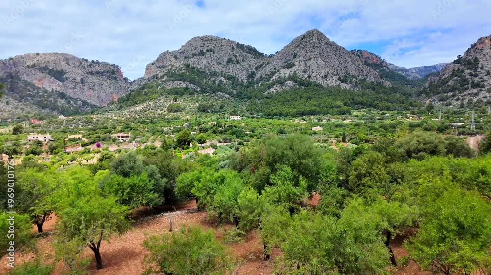 Mountainous landscape with terraces and olive trees on the train route from Palma to Soller. Mountainous landscape with terraces and olive trees on the train route from Palma to Soller.