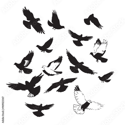 Vector illustration: silhouette of flying birds doves on a white background