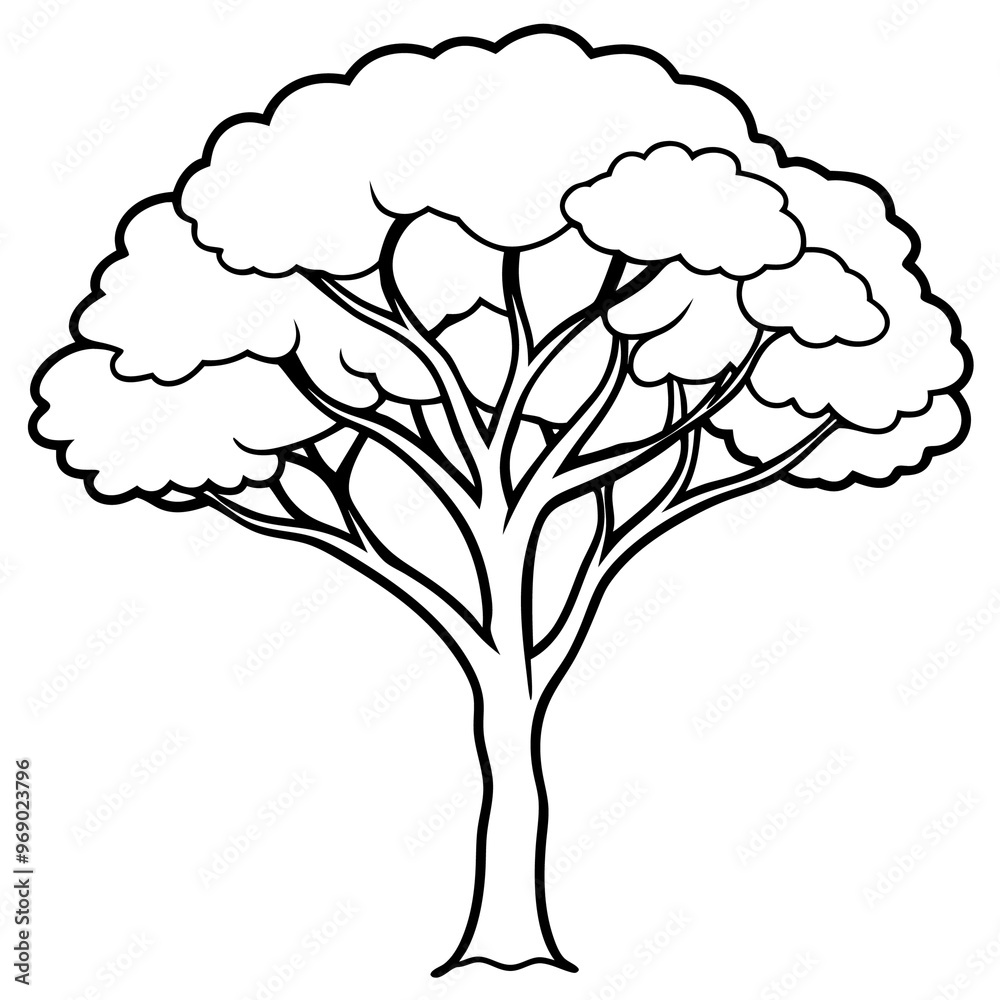 jacaranda tree outline coloring book page line art drawing jacaranda tree outline coloring book page line art drawing