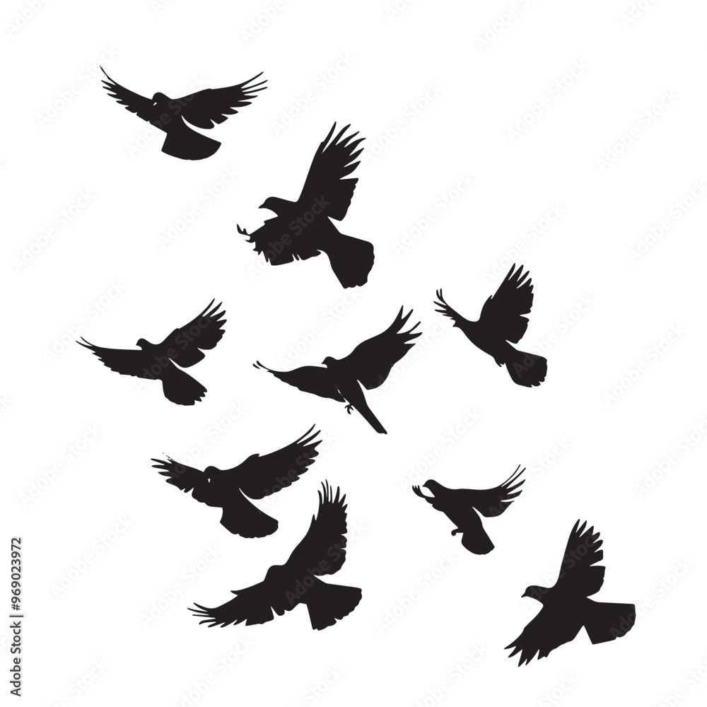 Vector illustration: silhouette of flying birds doves on a white background Vector illustration: silhouette of flying birds doves on a white background