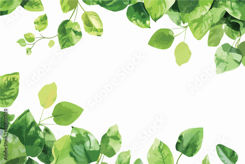 Ecological Background with Green Leaves on White Background