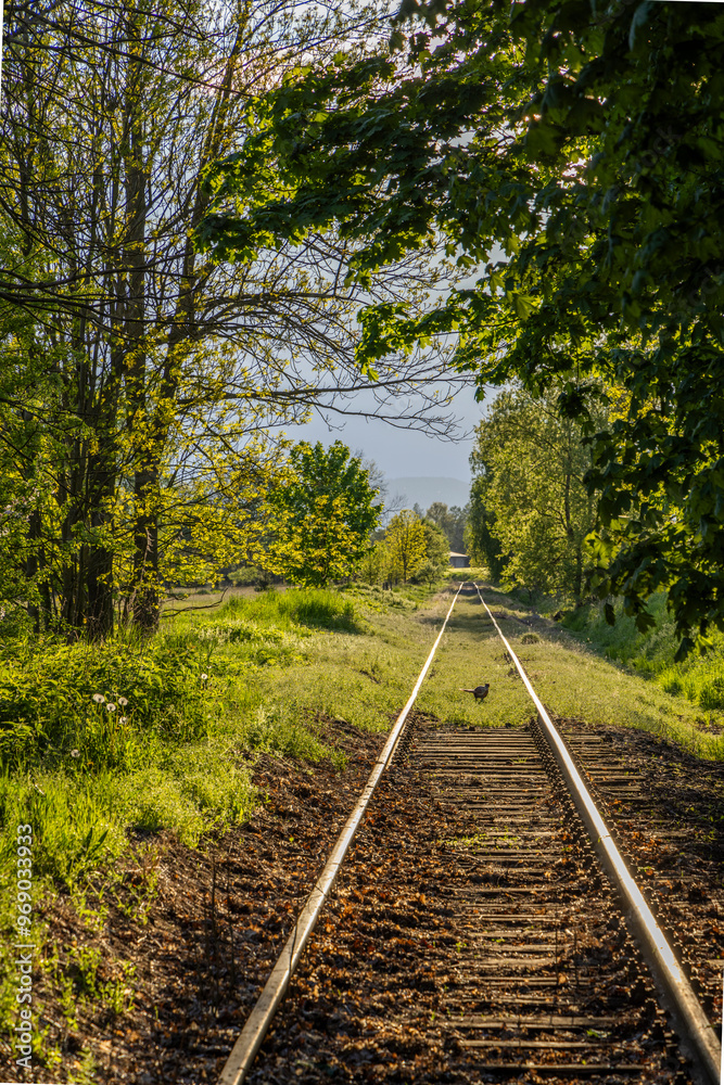 railway tracks in backlight near Otovice, Eastern Bohemia, Czech Republic railway tracks in backlight near Otovice, Eastern Bohemia, Czech Republic