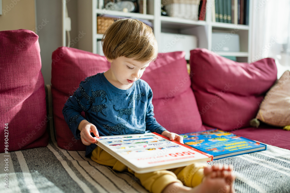 Cute little boy reading books on the sofa at home on a bright sunny afternoon. Daytime care creative activity. Kids having fun. Cute little boy reading books on the sofa at home on a bright sunny afternoon. Daytime care creative activity. Kids having fun.