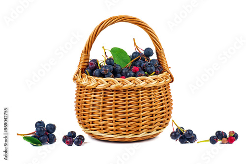 Amelanchier in the wicker basket isolated on white background. High resolution photo. photo