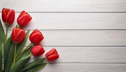 Red tulips on a white board. Space for text © Iwona