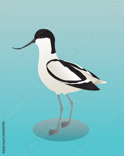 A digital illustration of a pied avocet