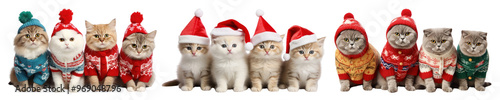 Cute cat wearing winter outfit png cut out image set