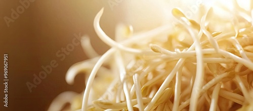 Close up of fresh raw beans...