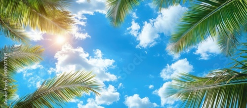 Palm trees set against a bl...