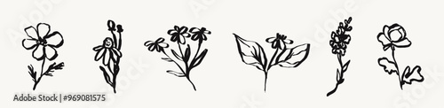 Line chalk or charcoal flower set for logo, icon or emblem. Simple outline elegant floral collection. Ink contemporary drawing style vector illustration. Abstract pencil drawn plants floral elements.