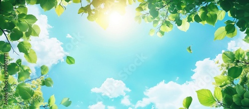 Leaves and the sky. with co...
