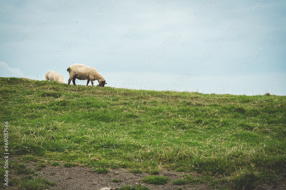 Fototapeta premium Cliffs of Moher, Ireland