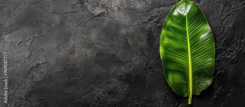 Banana leaf for serving foo...