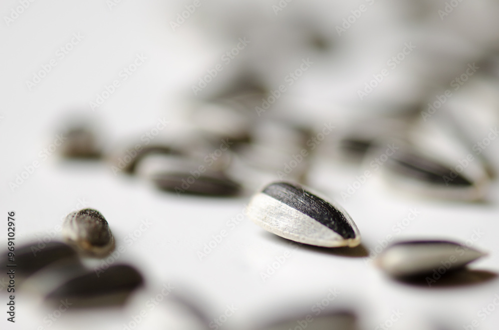 Sunflower seed Sunflower seed