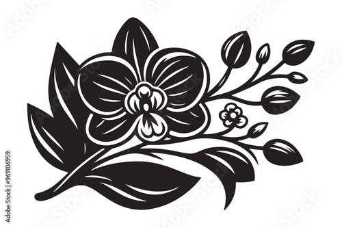 Black silhouette of orchid flowers, Vector illustration