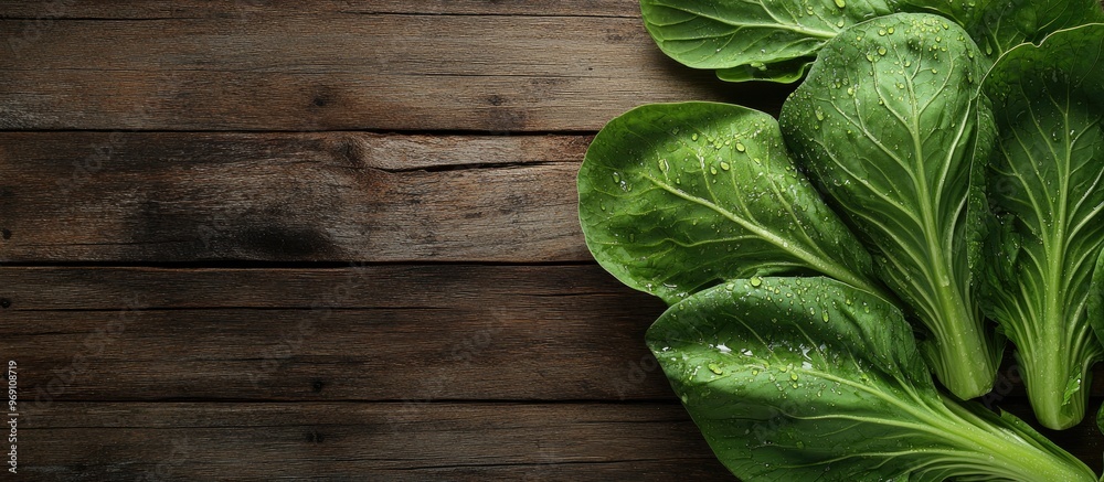 Fototapeta premium Fresh green pak choy cabbage leaves with water droplets on a wooden table space for text. with copy space image. Place for adding text or design