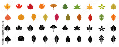 Autumn leaves set. Leaves icon set. Flat style. Vector