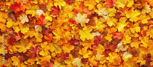 Colorful autumn background ...