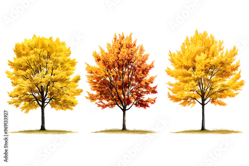 Yellow trees set isolated on white background