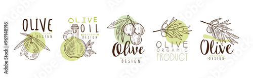 Olive Organic and Natural Product Original Design Vector Set