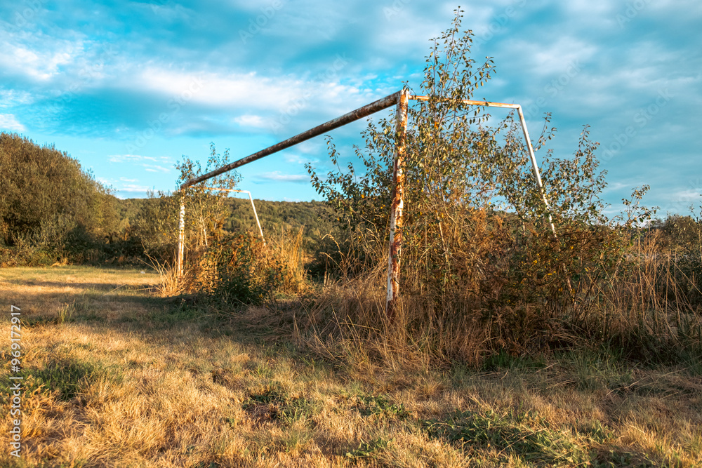a goal of an abandoned football pitch covered by bushes a goal of an abandoned football pitch covered by bushes