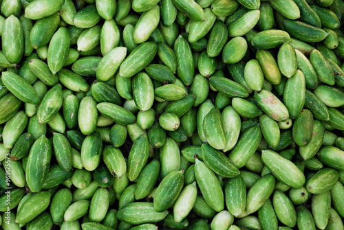 Gherkins arranged for sale at Market Yard, Pune, Maharashtra, India. Gherkin (Cucumis Sativus L.Family : Cucurbitaceae) is popularly known as pickling cucumber 