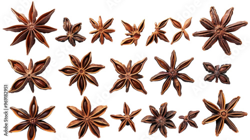 Anise collection on transparent background