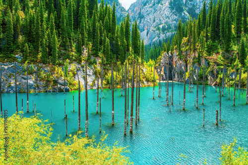 Lake Kaindy is in the Kungey Alatau mountain range and is part of the northern Tien Shan. Lake Kaindy is located in the south of Kazakhstan, within Kolsay Lakes National Park photo