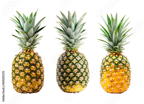 Whole ripe pineapples perfect for tropical designs, organic recipes, and summer visuals, Cutout, Isolated on White Background