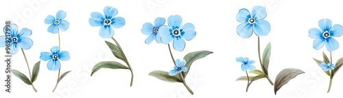 A delicate arrangement of blue flowers with green leaves, perfect for nature-themed designs and floral inspiration.