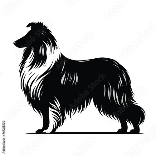 Silhouette of a Collie Dog