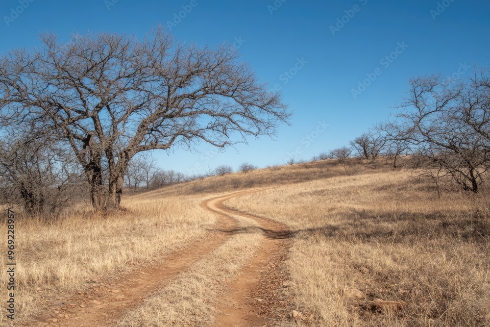 A winding dirt road through a grassy field. This photo shows a path leading towards the horizon, perfect for illustrating a journey or the path forward. A winding dirt road through a grassy field. This photo shows a path leading towards the horizon, perfect for illustrating a journey or the path forward.