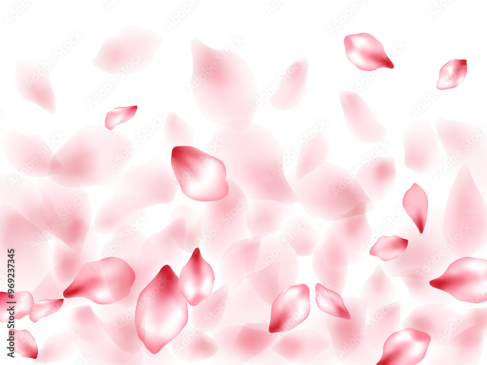 Fototapeta premium pink petals